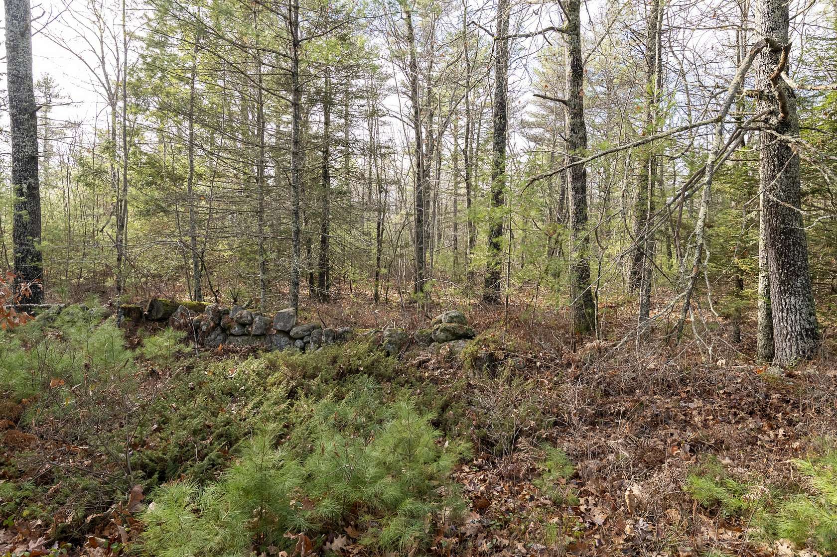 2 Acres of Residential Land for Sale in Woolwich, Maine