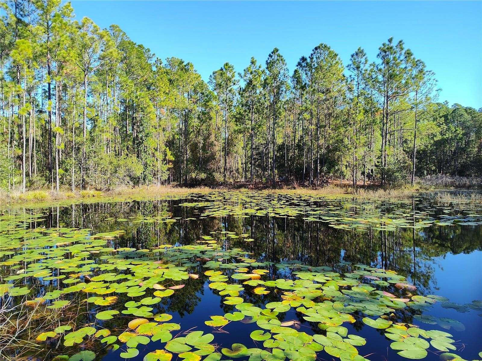 4.55 Acres of Land for Sale in Astor, Florida