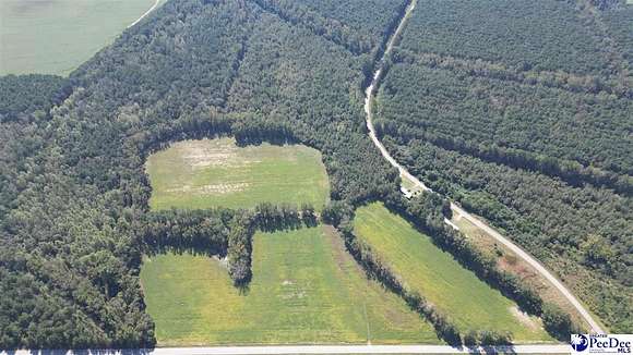 6 Acres of Residential Land for Sale in Latta, South Carolina