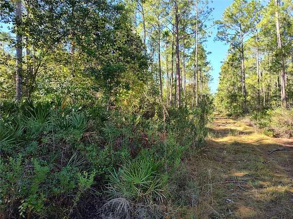 4.55 Acres of Land for Sale in Astor, Florida