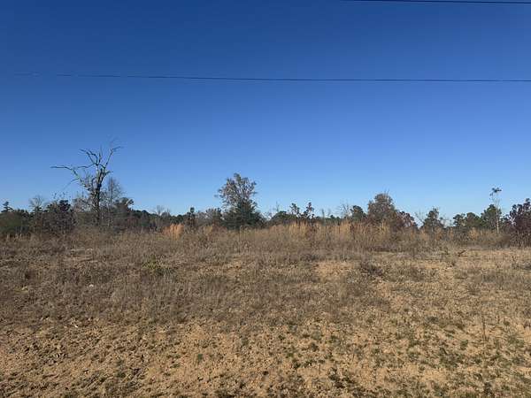 5 Acres of Residential Land for Sale in Winona, Texas