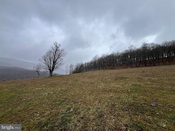 171.37 Acres of Land for Sale in Circleville, West Virginia