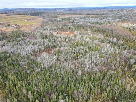 161 Acres of Agricultural Land for Sale in Caribou, Maine