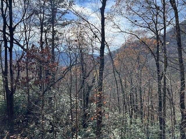 2.19 Acres of Residential Land for Sale in Hiawassee, Georgia