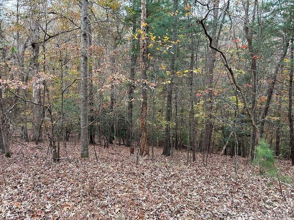 1.5 Acres of Residential Land for Sale in Ellijay, Georgia