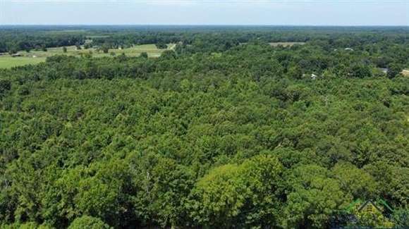 11.972 Acres of Land for Sale in Daingerfield, Texas