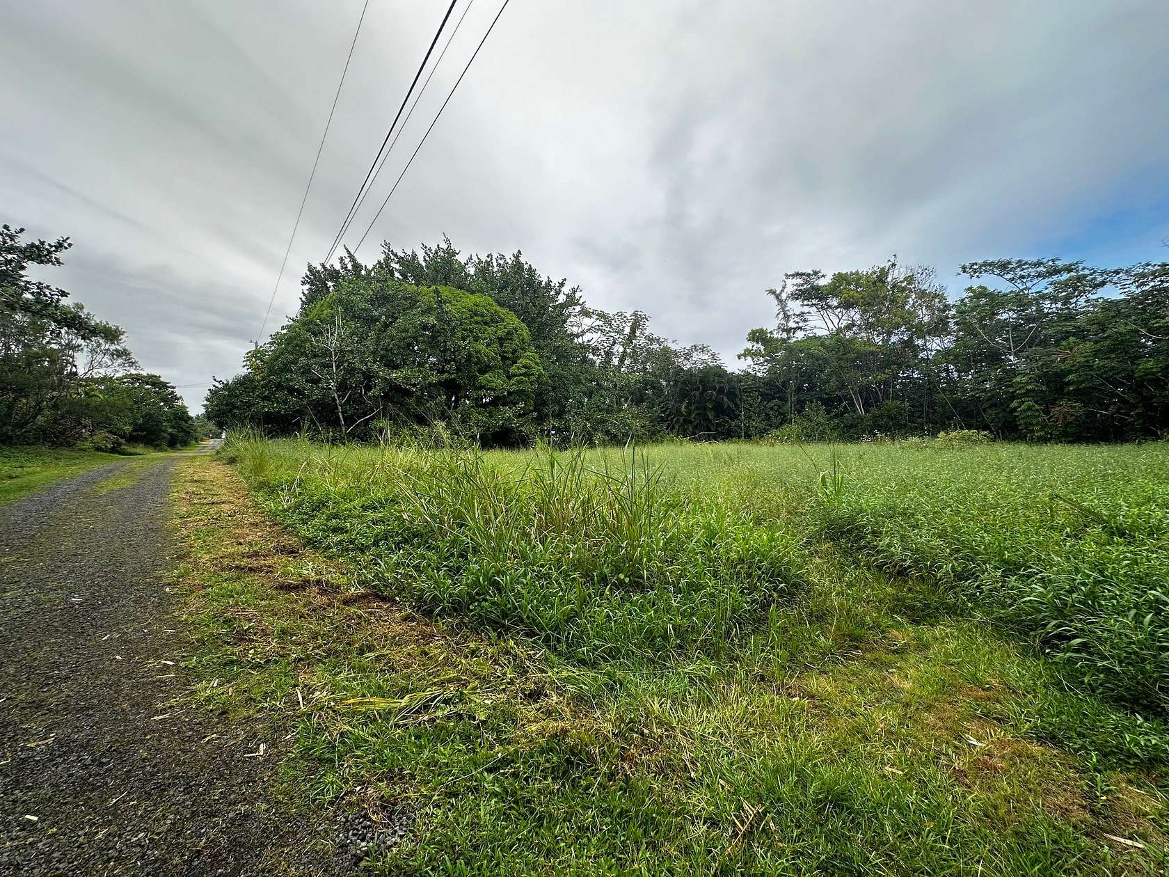 1 Acre of Residential Land for Sale in Keaau, Hawaii