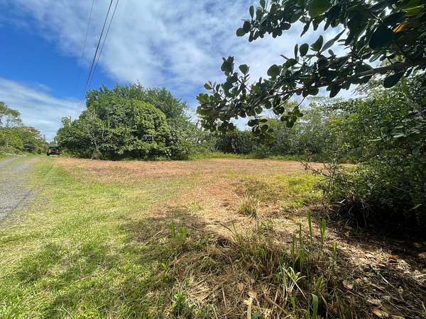1 Acre of Residential Land for Sale in Keaau, Hawaii