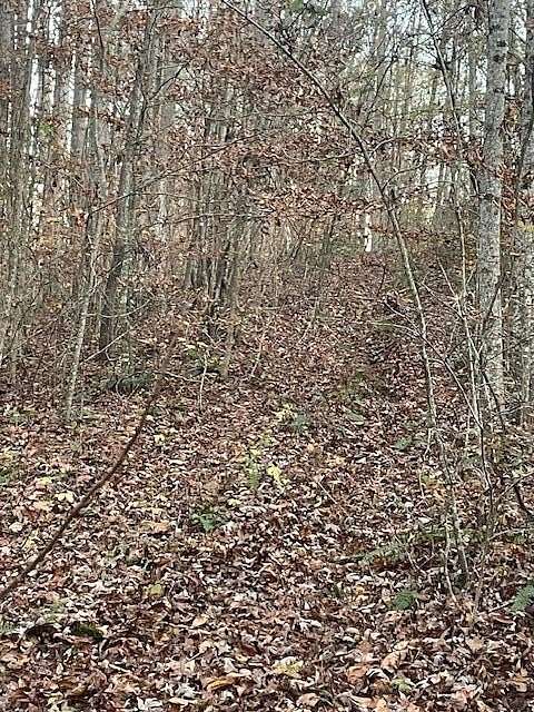 11.44 Acres of Land for Sale in Oldfort, Tennessee