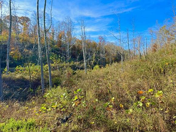 165 Acres of Land for Sale in Liberty, Kentucky