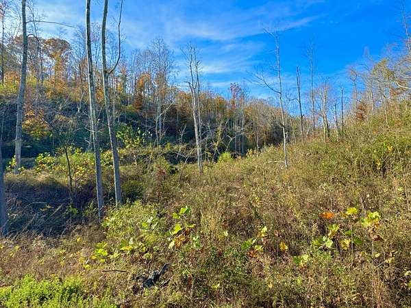 165 Acres of Recreational Land for Sale in Liberty, Kentucky