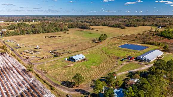 230 Acres of Recreational Land & Farm for Sale in Pink Hill, North Carolina