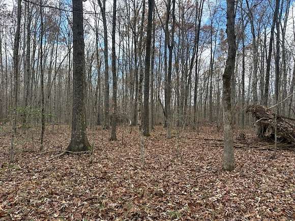 5.01 Acres of Recreational Land for Sale in Pikeville, Tennessee