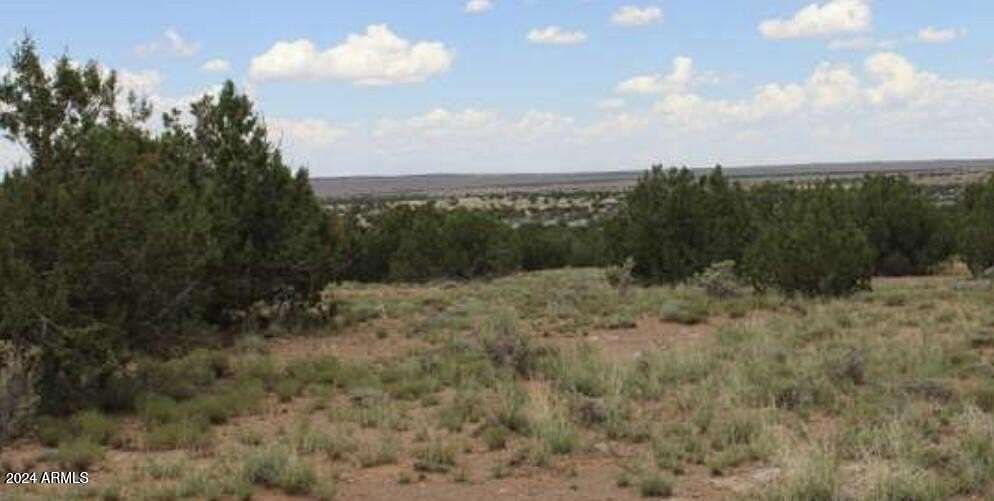 22.03 Acres of Land for Sale in Heber, Arizona