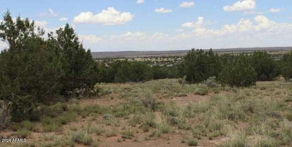 22.03 Acres of Land for Sale in Heber, Arizona