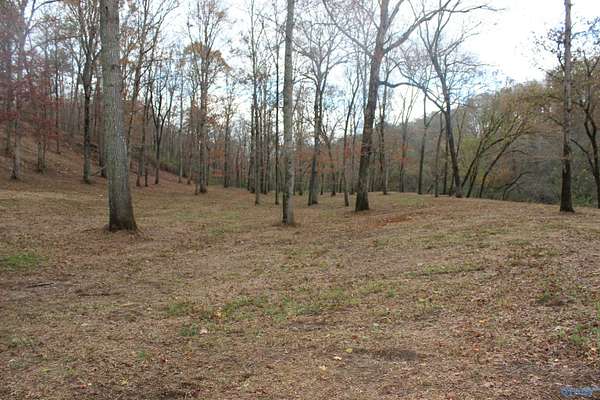 5.7 Acres of Residential Land for Sale in Geraldine, Alabama