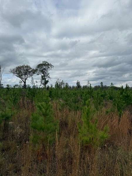 35 Acres of Land for Sale in Evergreen, Alabama