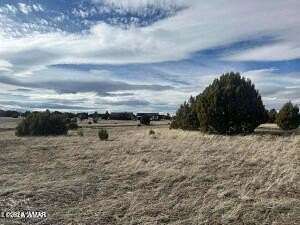 0.16 Acres of Residential Land for Sale in Show Low, Arizona