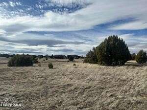 0.28 Acres of Residential Land for Sale in Show Low, Arizona