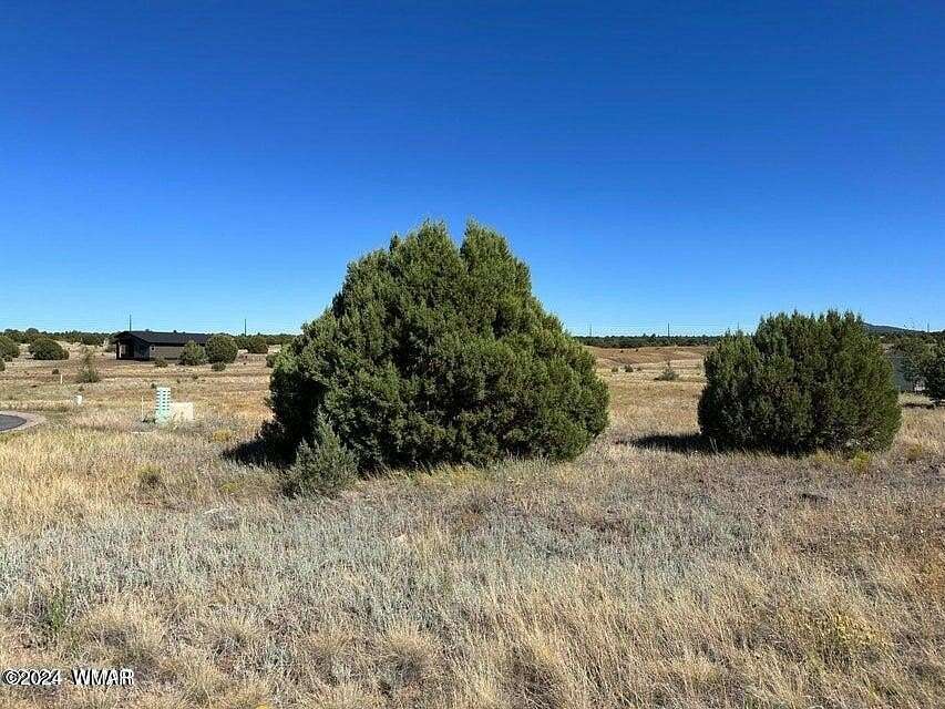 0.26 Acres of Residential Land for Sale in Show Low, Arizona