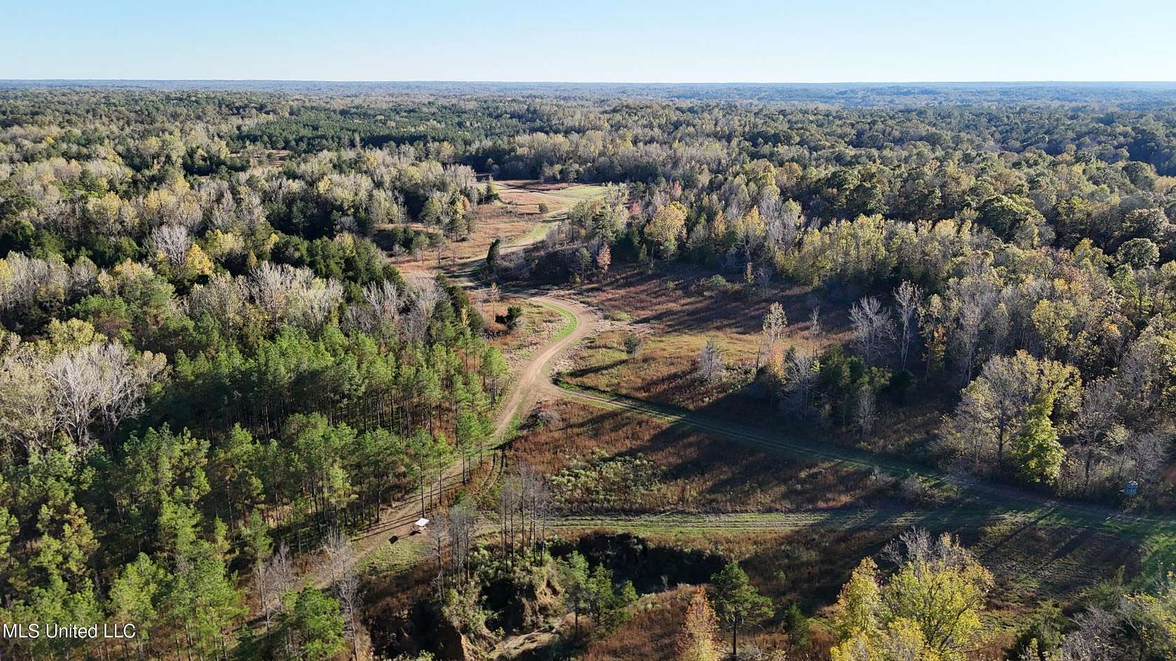 333.5 Acres of Recreational Land for Sale in Lexington, Mississippi