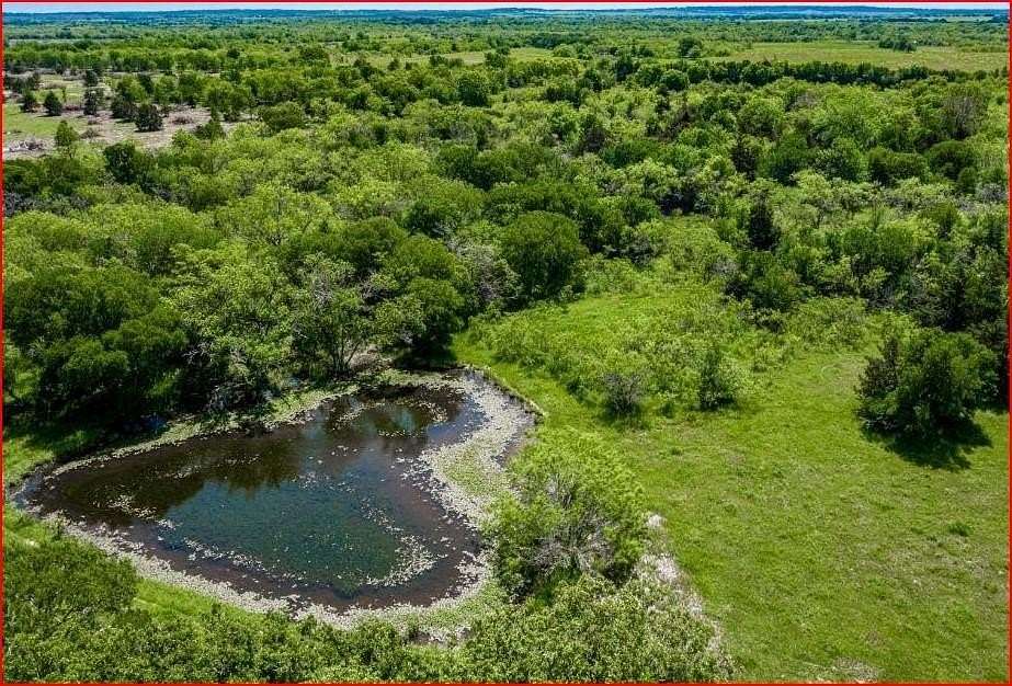 66 Acres of Recreational Land & Farm for Sale in Dawson, Texas