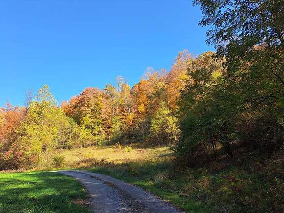 20.16 Acres of Recreational Land for Sale in Sutton, West Virginia