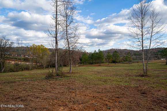 42.27 Acres of Agricultural Land for Sale in Ten Mile, Tennessee