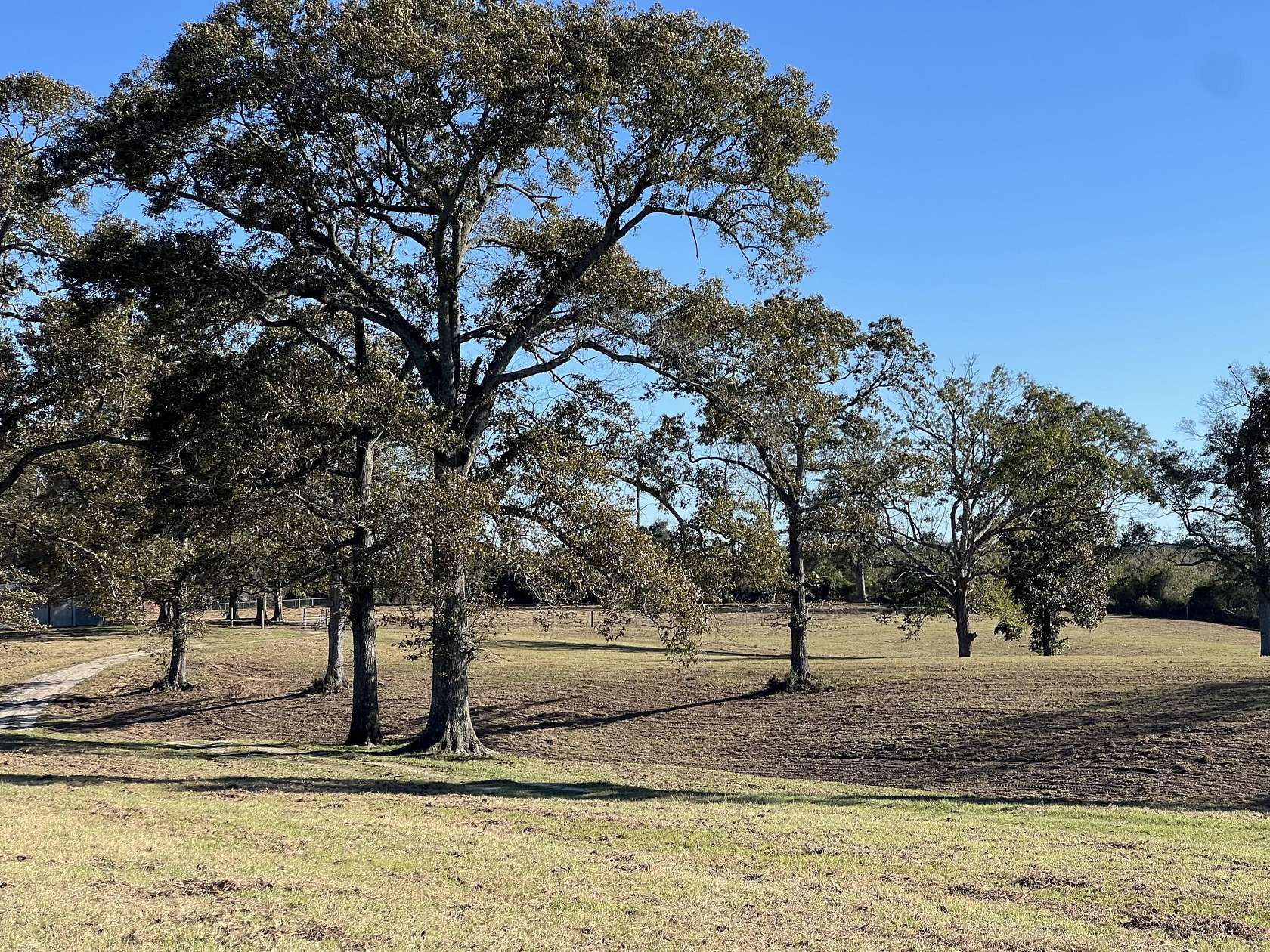 86.2 Acres of Agricultural Land for Sale in Purvis, Mississippi