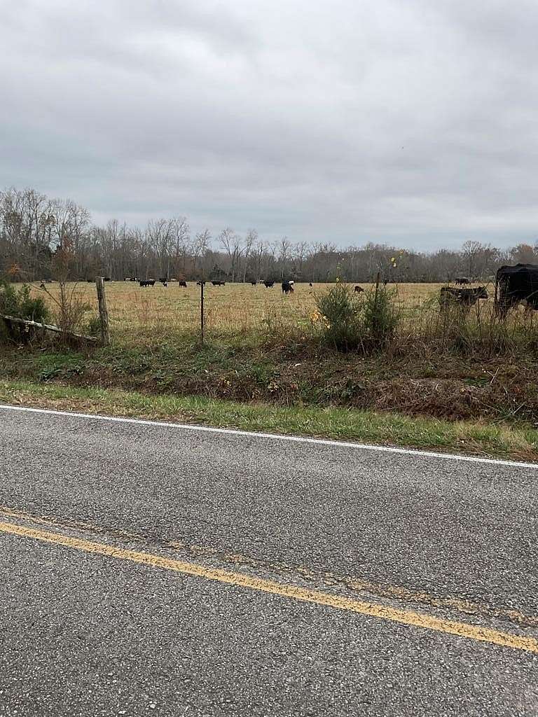 84 Acres of Mixed-Use Land for Sale in Cookeville, Tennessee