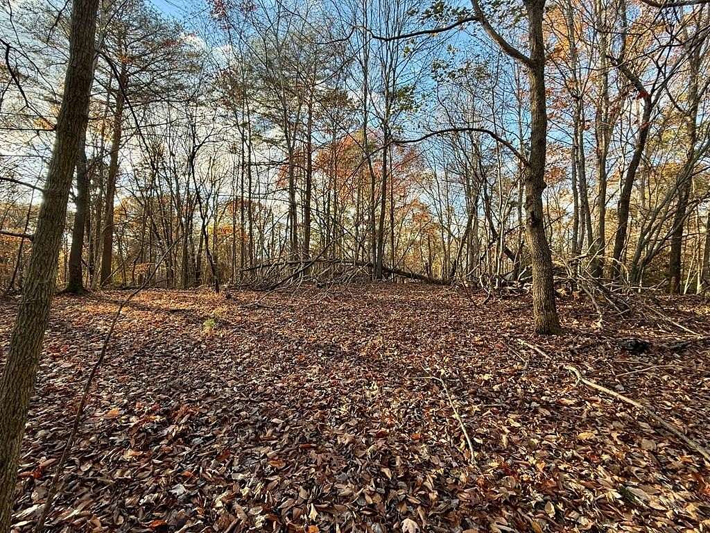 0.5 Acres of Residential Land for Sale in Ellijay, Georgia