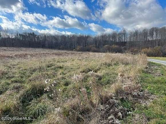 8.21 Acres of Land for Sale in Smyrna, New York