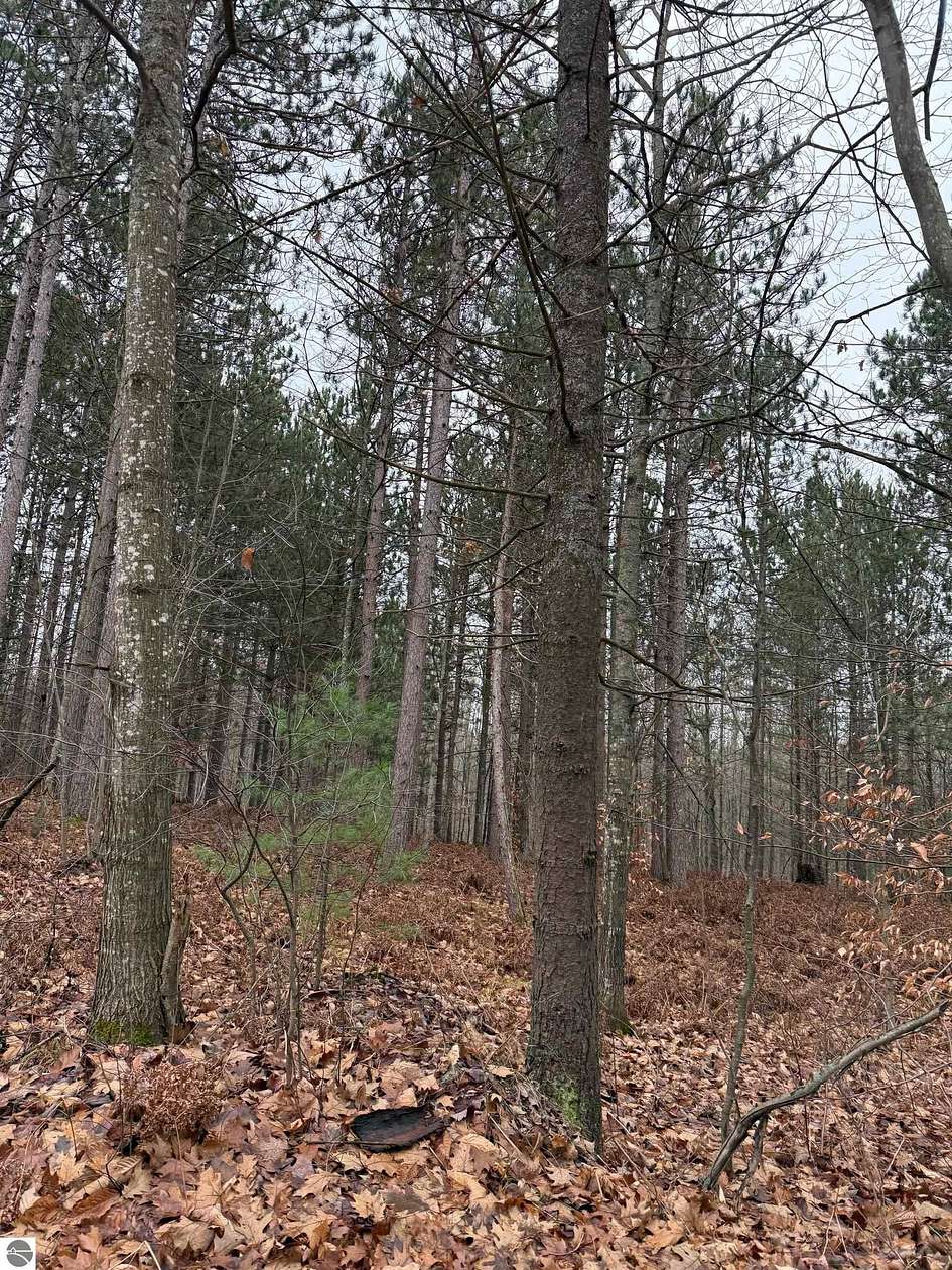 20 Acres of Recreational Land for Sale in Manton, Michigan