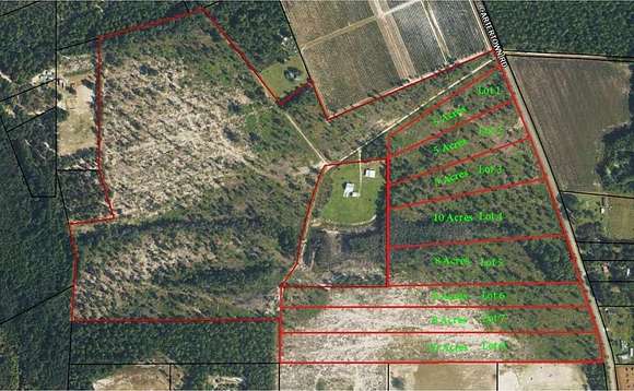 5 Acres of Residential Land for Sale in Alma, Georgia