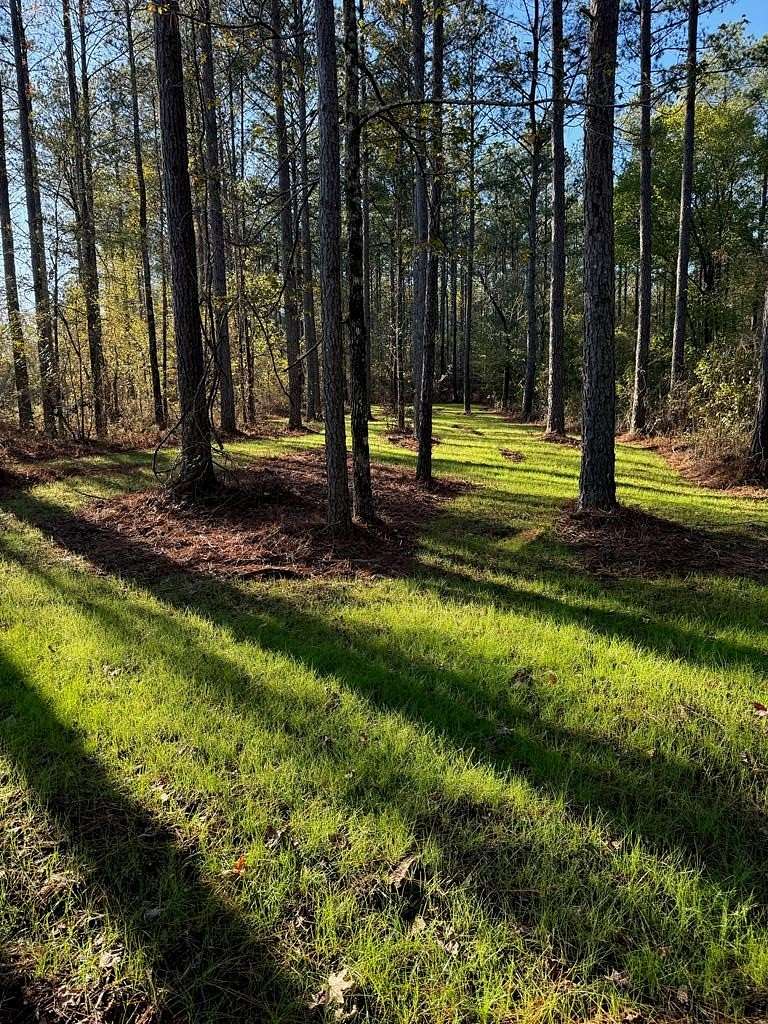 30 Acres of Recreational Land for Sale in Blue Mountain, Mississippi