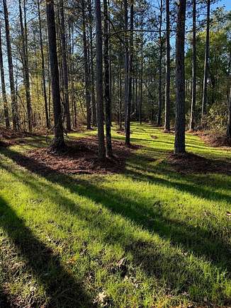 30 Acres of Recreational Land for Sale in Blue Mountain, Mississippi