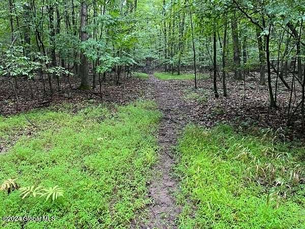 10 Acres of Recreational Land for Sale in Freehold, New York
