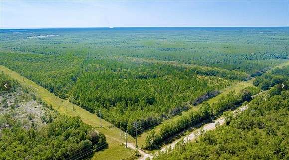 39 Acres of Recreational Land for Sale in Theodore, Alabama