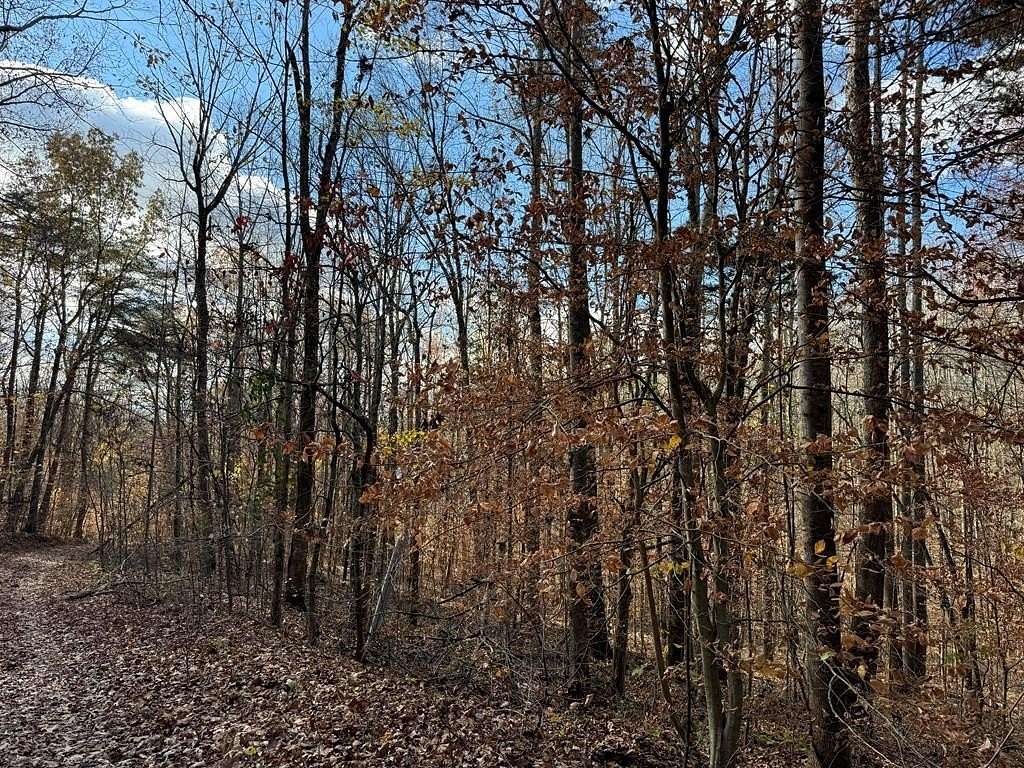 2.23 Acres of Residential Land for Sale in Albany, Kentucky