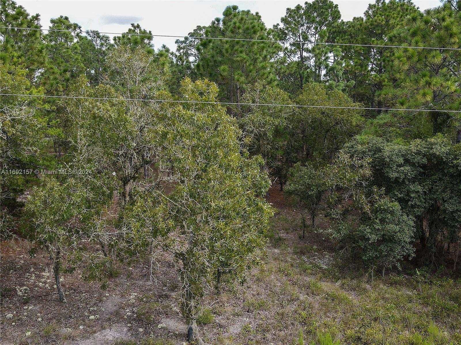 1 Acre of Residential Land for Sale in Dunnellon, Florida