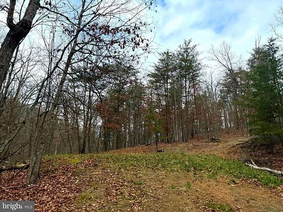 10 Acres of Recreational Land for Sale in Burlington, West Virginia