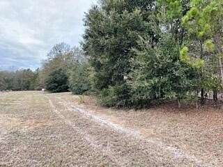 7.8 Acres of Agricultural Land for Sale in Wagener, South Carolina