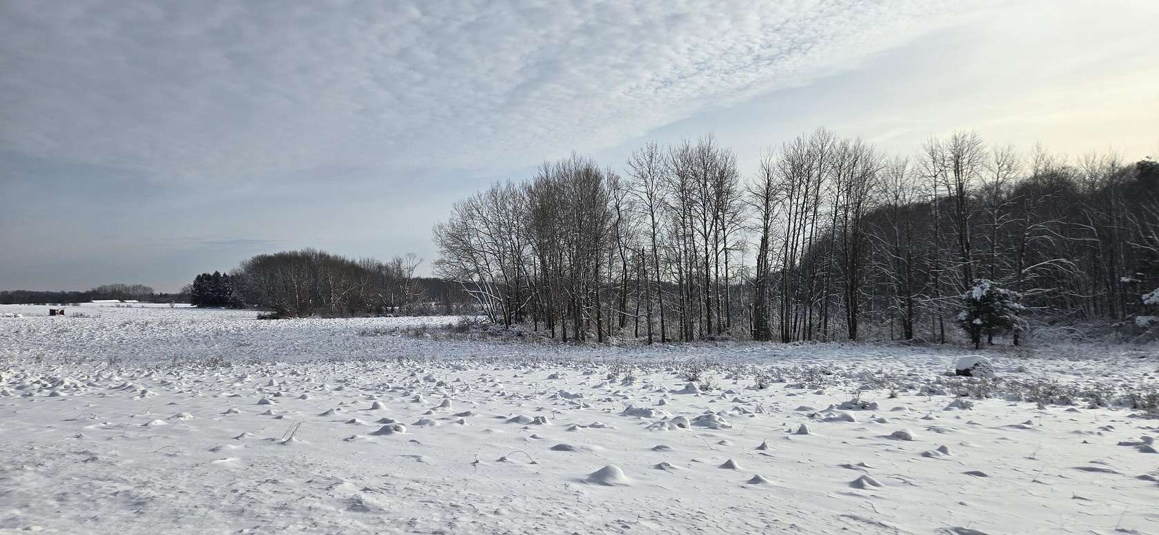 10 Acres of Land for Sale in Rothbury, Michigan