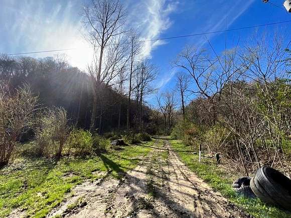 186 Acres of Recreational Land for Sale in Robinson Creek, Kentucky