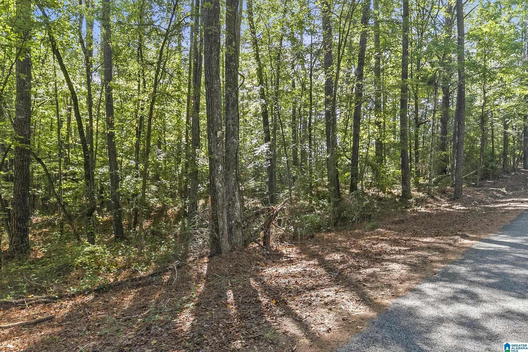 0.5 Acres of Residential Land for Sale in Northport, Alabama