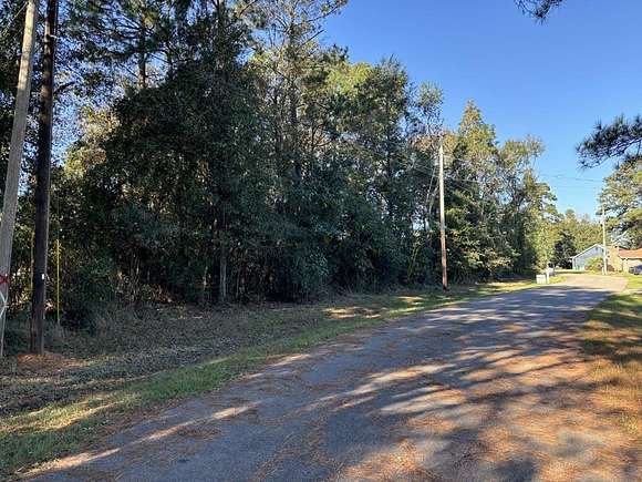 0.32 Acres of Land for Sale in Carriere, Mississippi