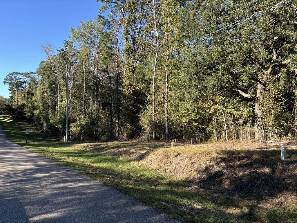 0.34 Acres of Land for Sale in Carriere, Mississippi