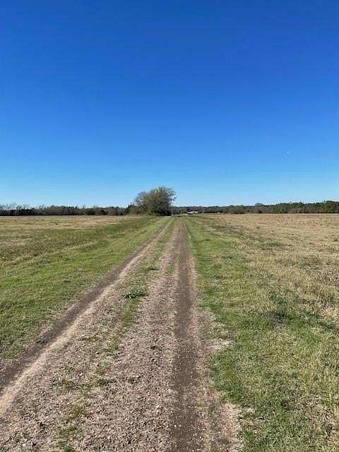 25 Acres of Land for Sale in Pattonville, Texas