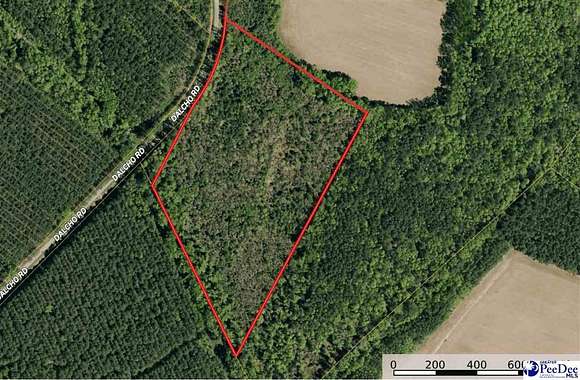 17 Acres of Land for Sale in Latta, South Carolina