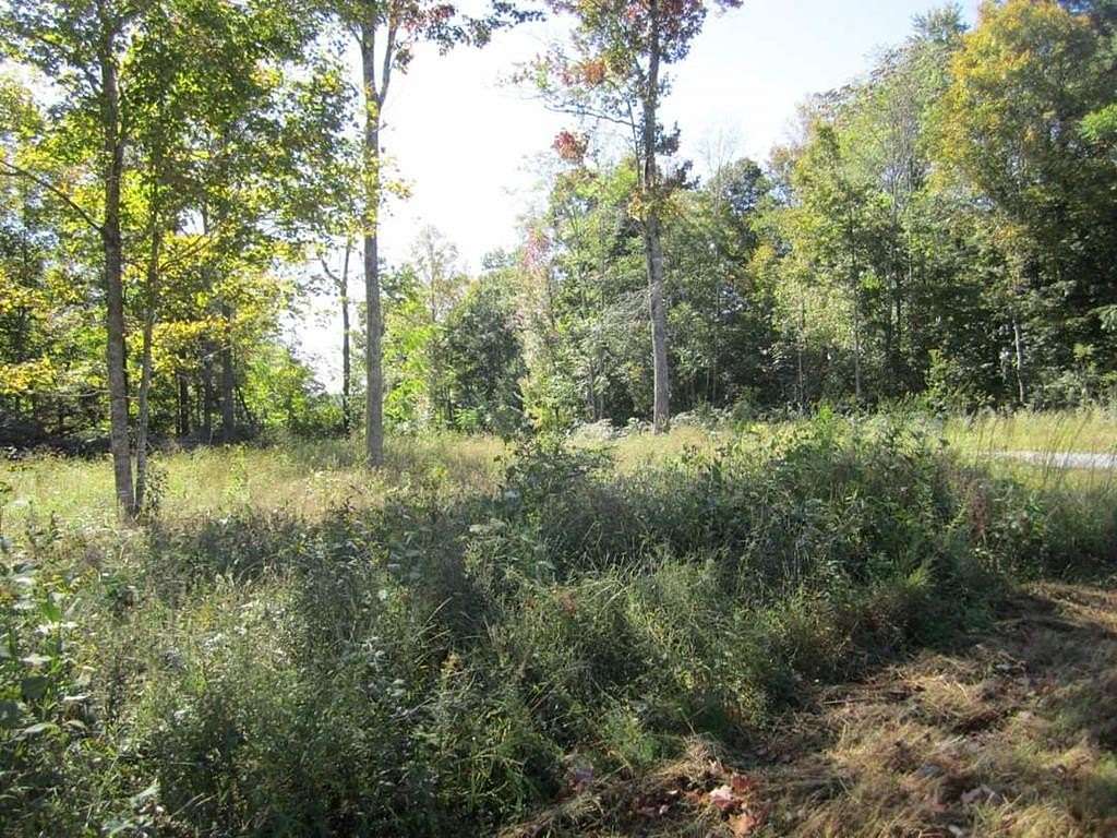 13.03 Acres of Land for Sale in Gainesboro, Tennessee